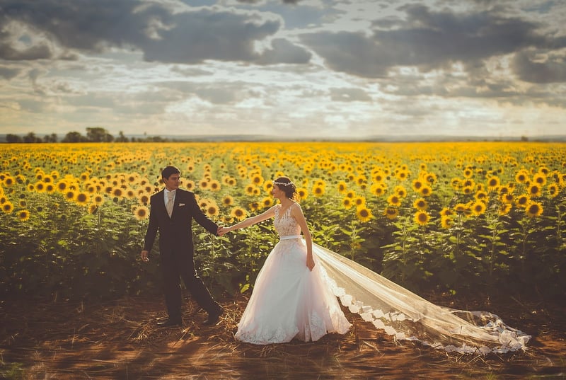 Wedding Reception